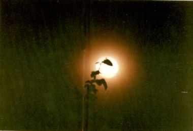 Traveller_777 Traveller_777