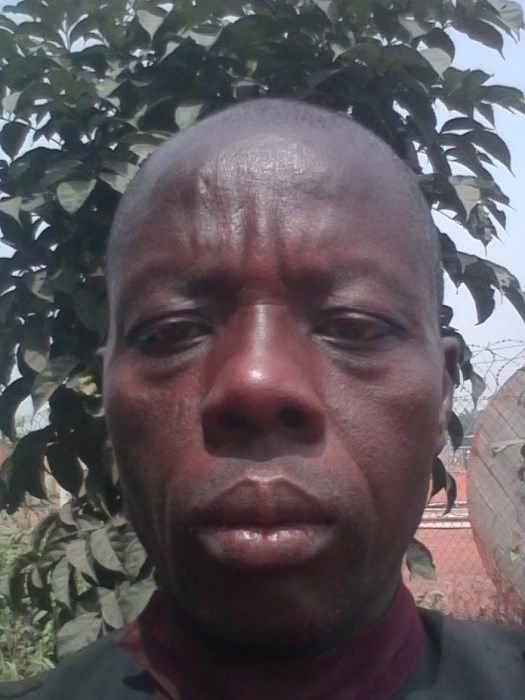 Johnson_412