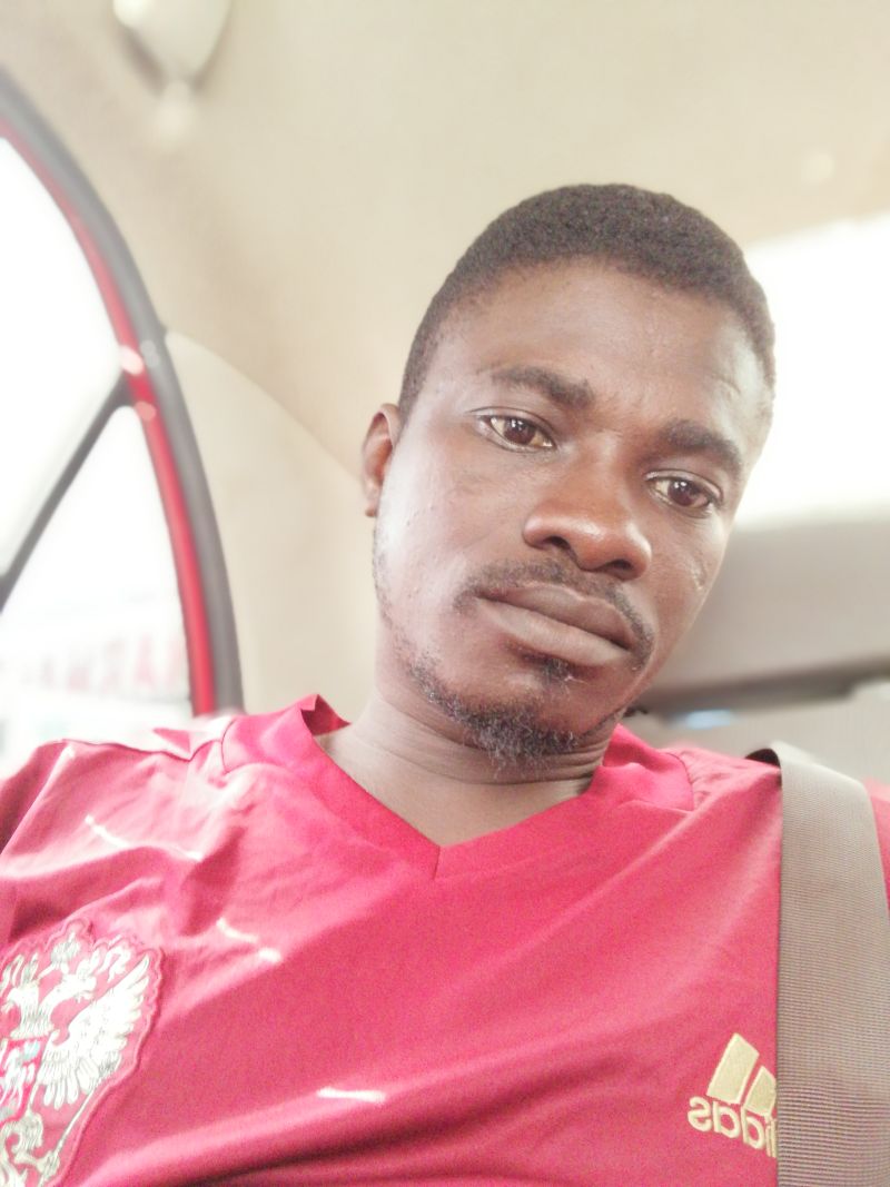 dseekingwriter82