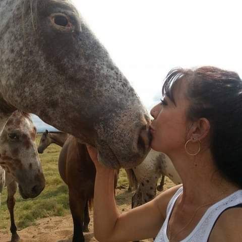 Ogatapatata Ogatapatata