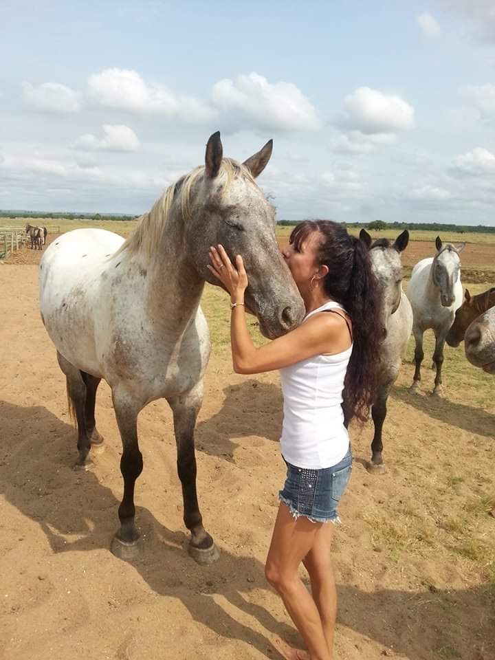 Ogatapatata Ogatapatata