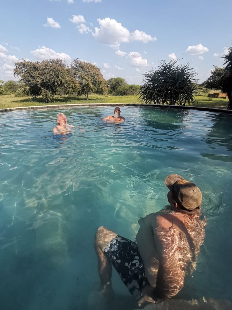 wildbees1234 wildbees1234