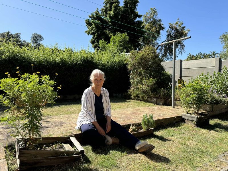 cejsunacza cejsunacza