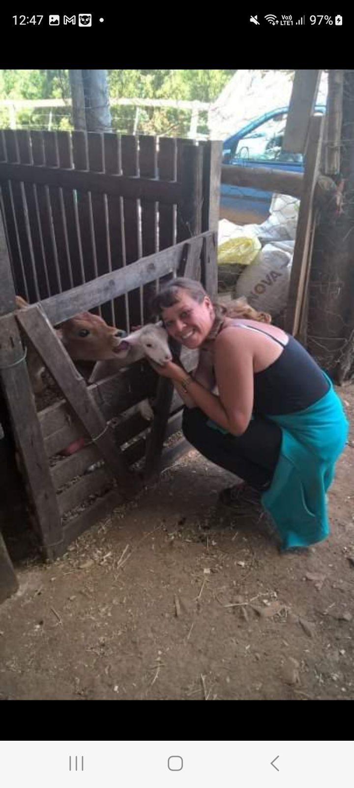 Plaaslammetjie Plaaslammetjie