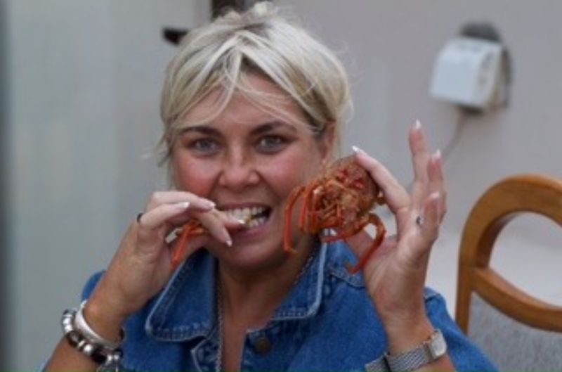 Boxofchocolates Boxofchocolates