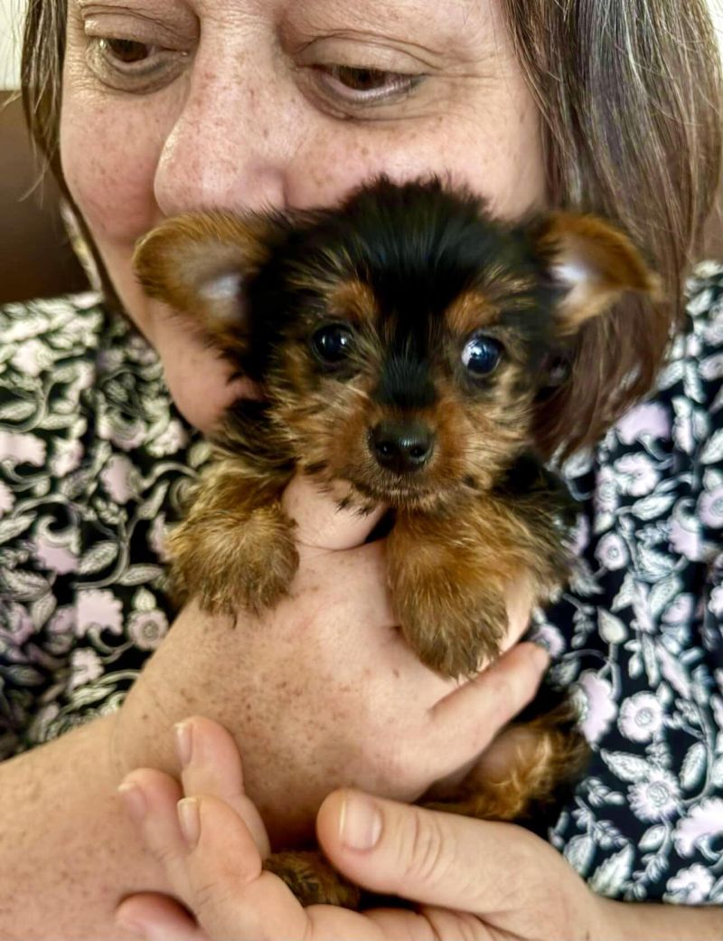 prinsesmari prinsesmari