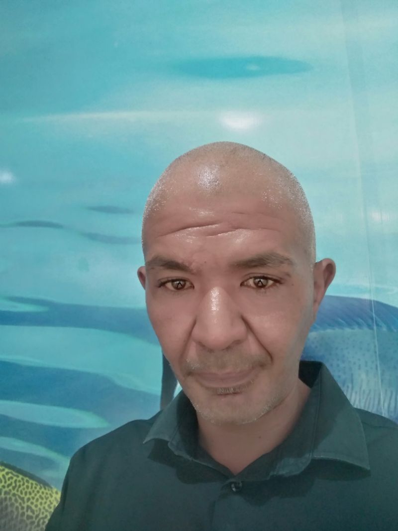 Harterower
