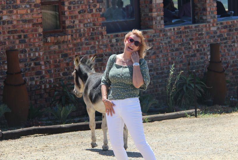 Bruinoog2025 Bruinoog2025