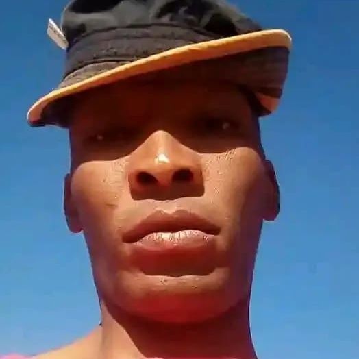 Dampieremoved56 Dampieremoved56