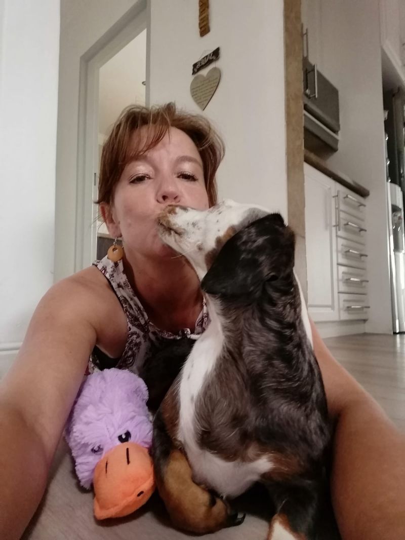 Sondergeite Sondergeite