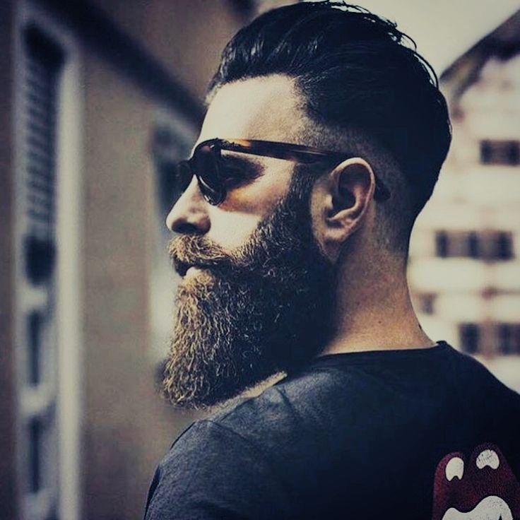 Gustav_411 Gustav_411