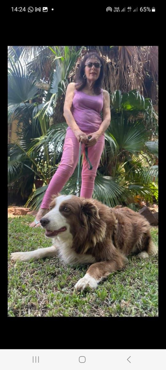 Letusflyaway Letusflyaway