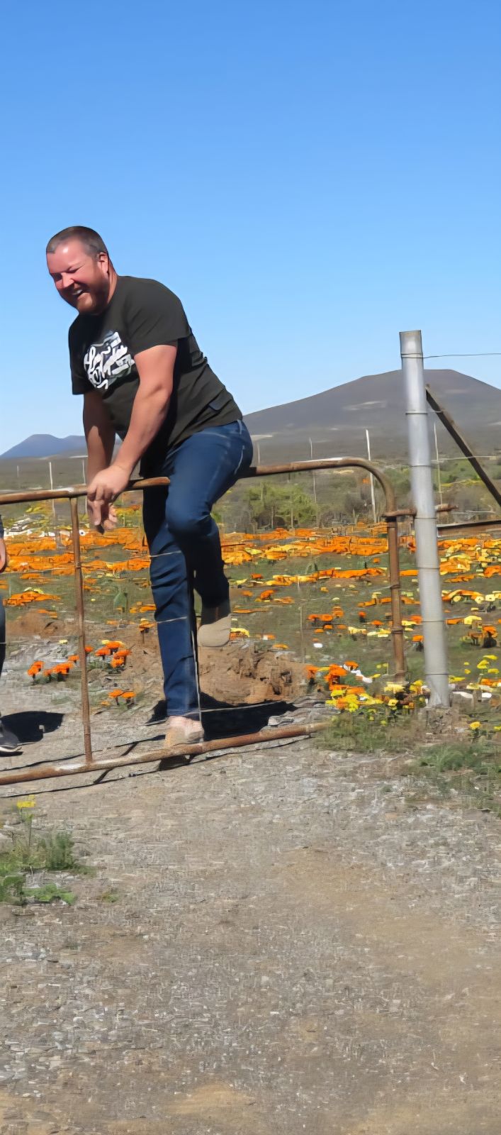 Optimis_45 Optimis_45