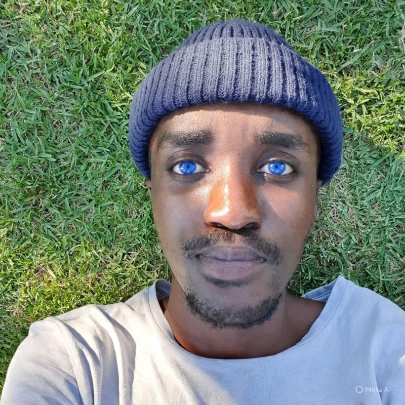 removedmai removedmai