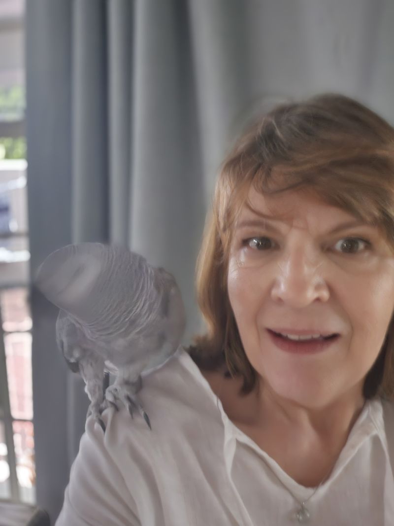 TravelingBookworm TravelingBookworm