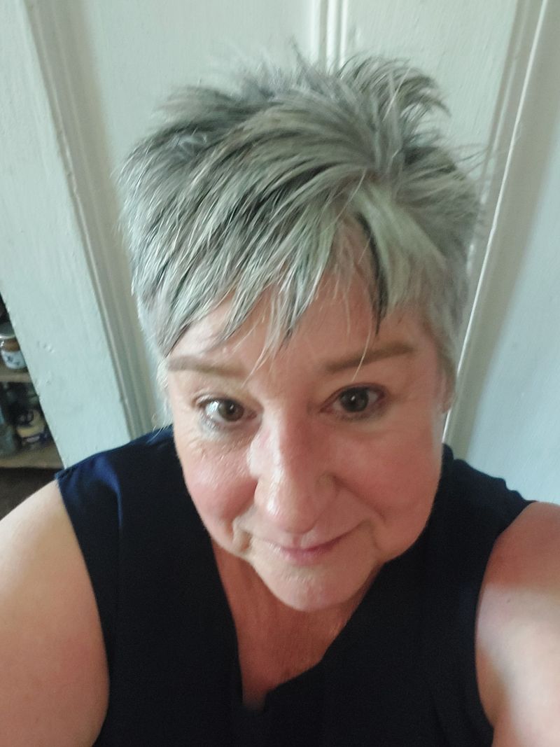 kombuismuis kombuismuis