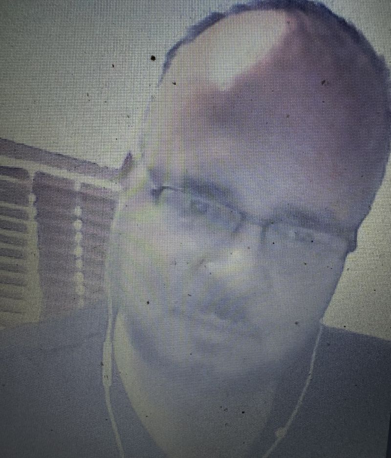 DDRensburg DDRensburg