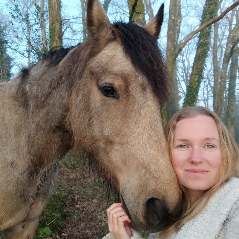 Starryskies Starryskies