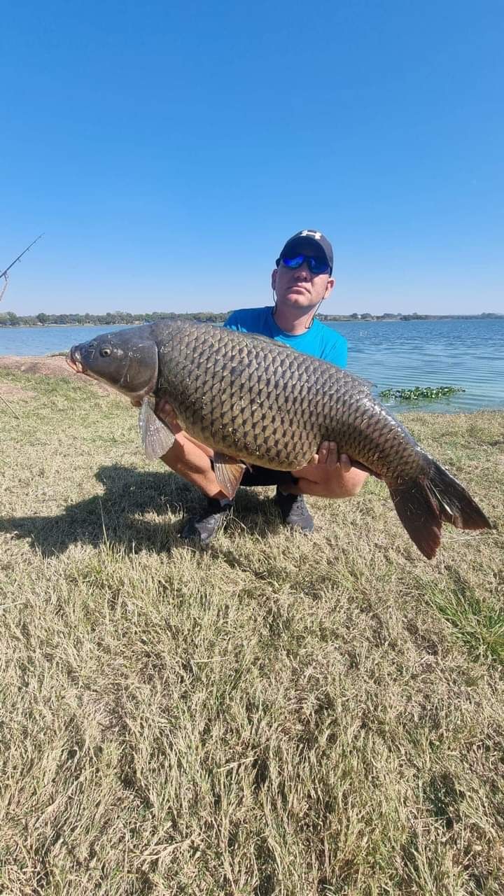 Boskindekse Boskindekse