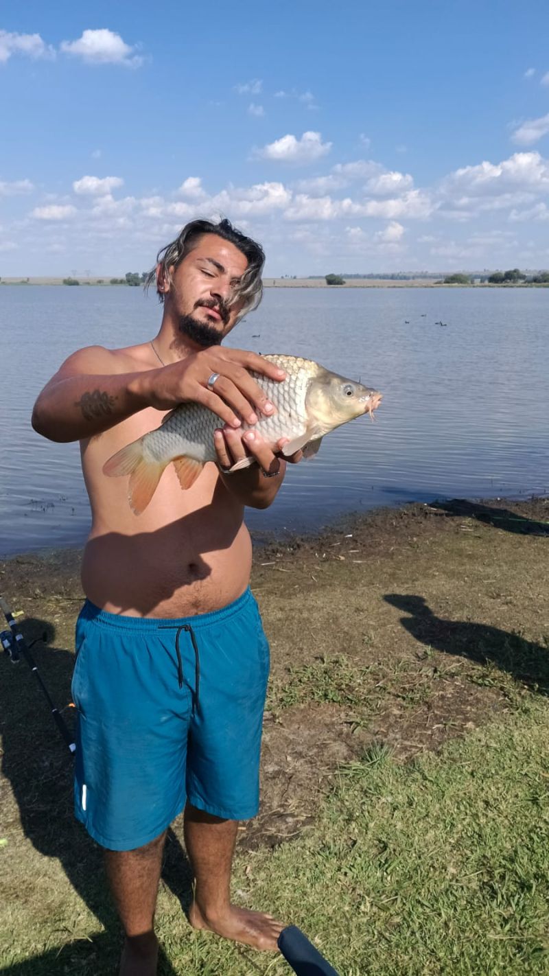 Mr_Portugal_Lee Mr_Portugal_Lee