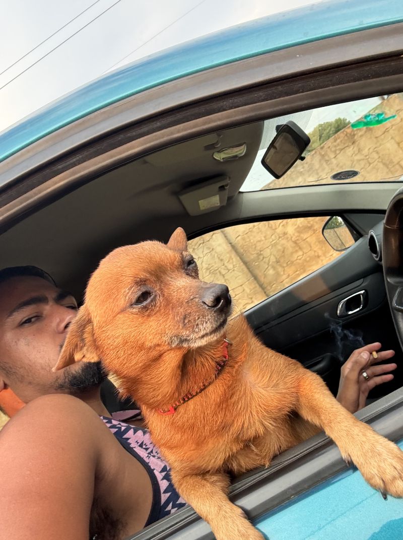 Mr_Portugal_Lee Mr_Portugal_Lee