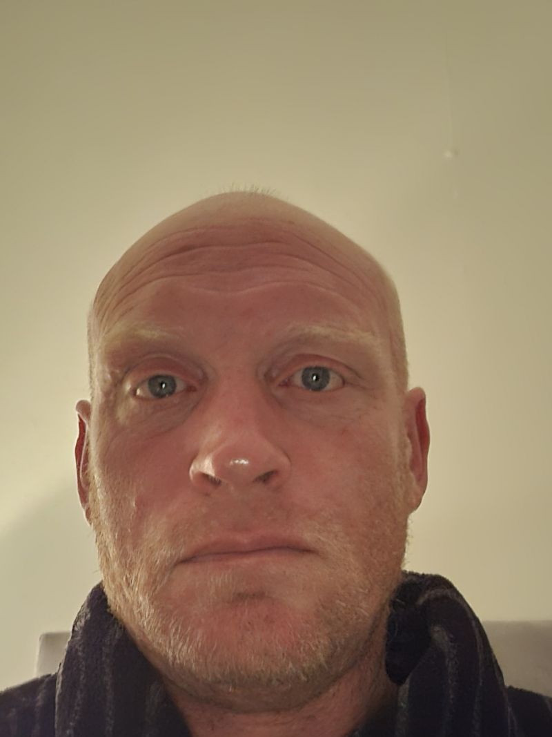dartdan