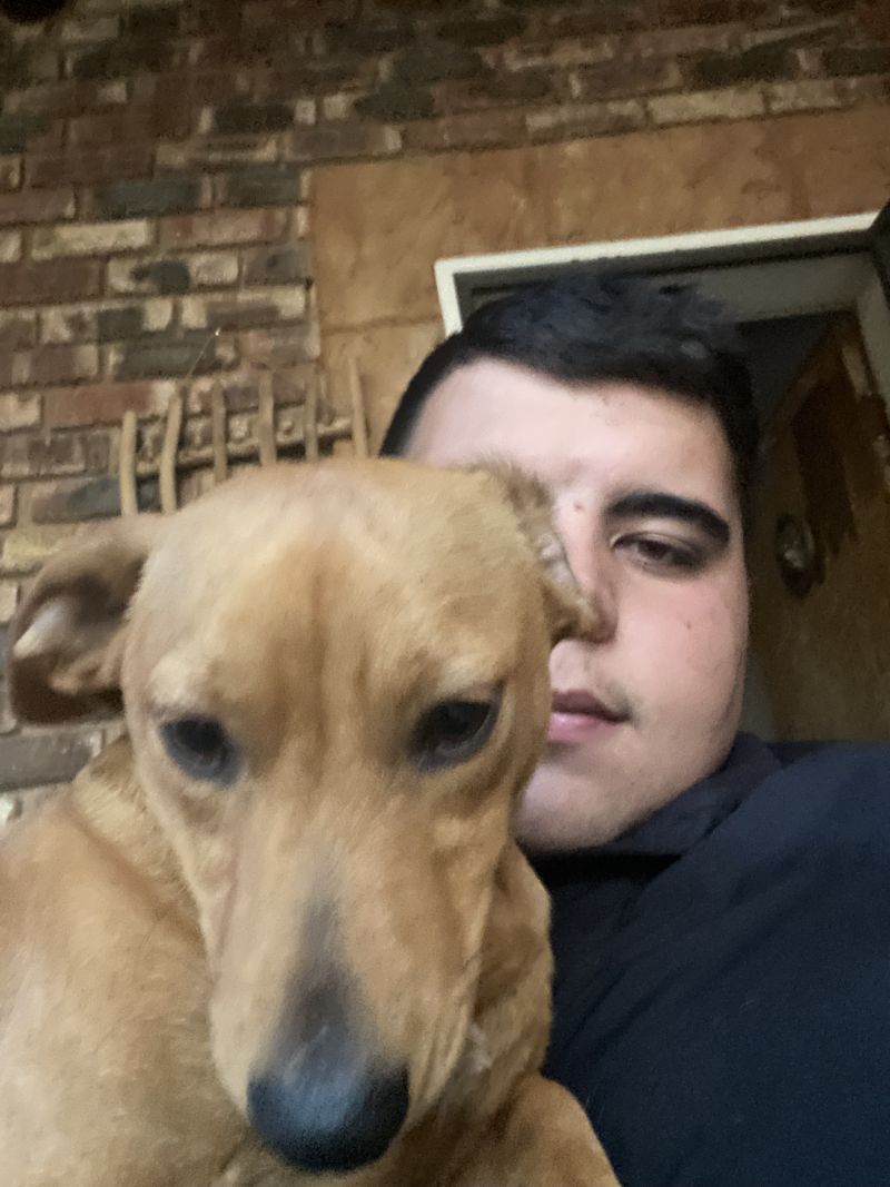 Boersoeknvrou